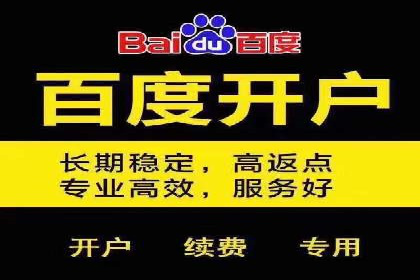 竞价广告案例分析：行业领军企业经验分享